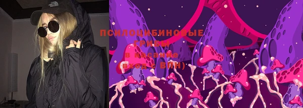 бошки Алексин