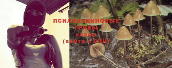 бошки Алексин