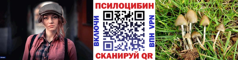 Псилоцибиновые грибы прущие грибы  Кашин 